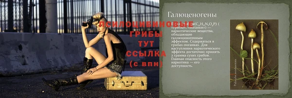 МДПВ Алексин