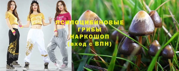 mdpv Заволжск